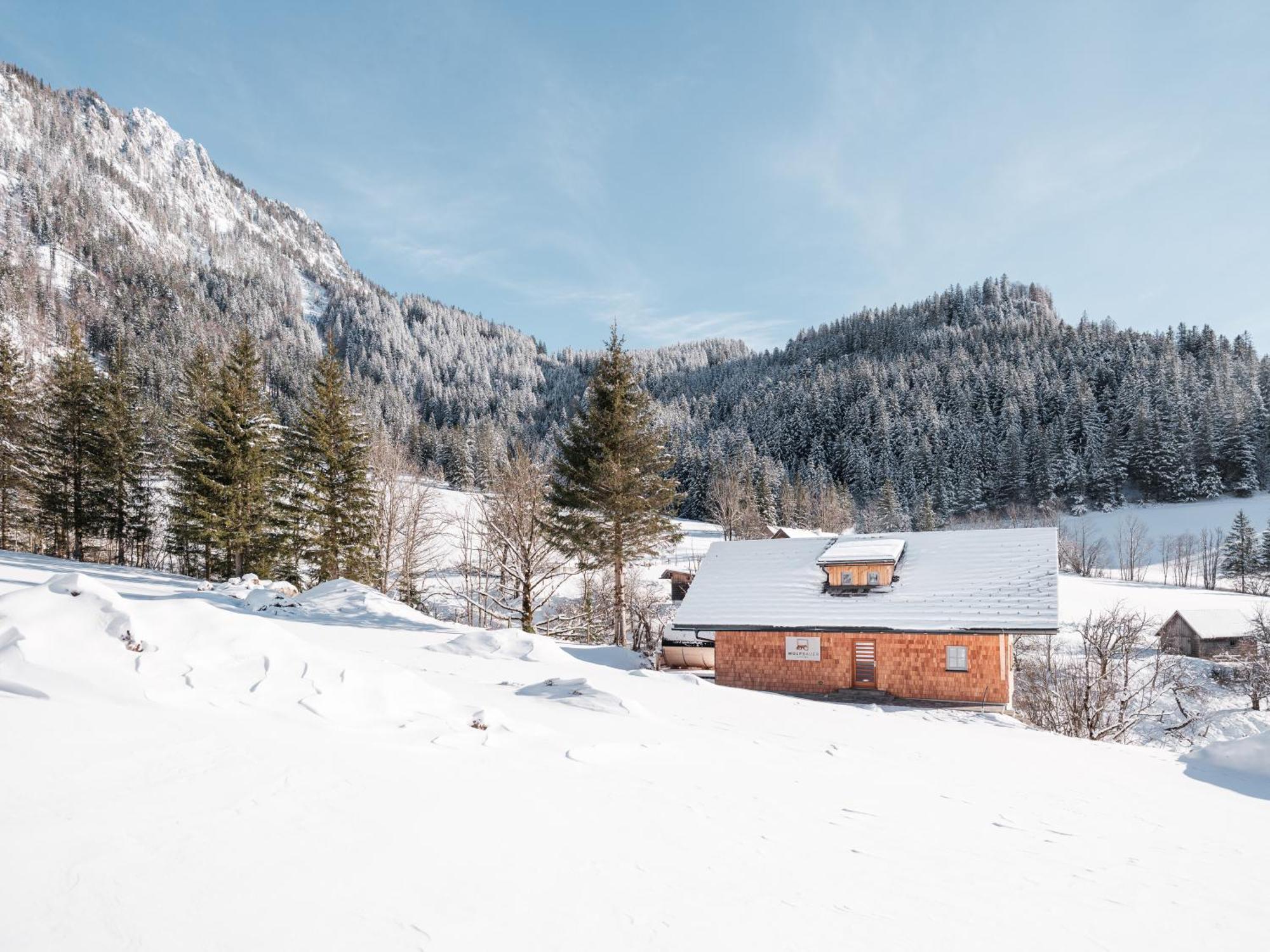 Вилла Haus 1683 - Wolfbauer Johnsbach Экстерьер фото