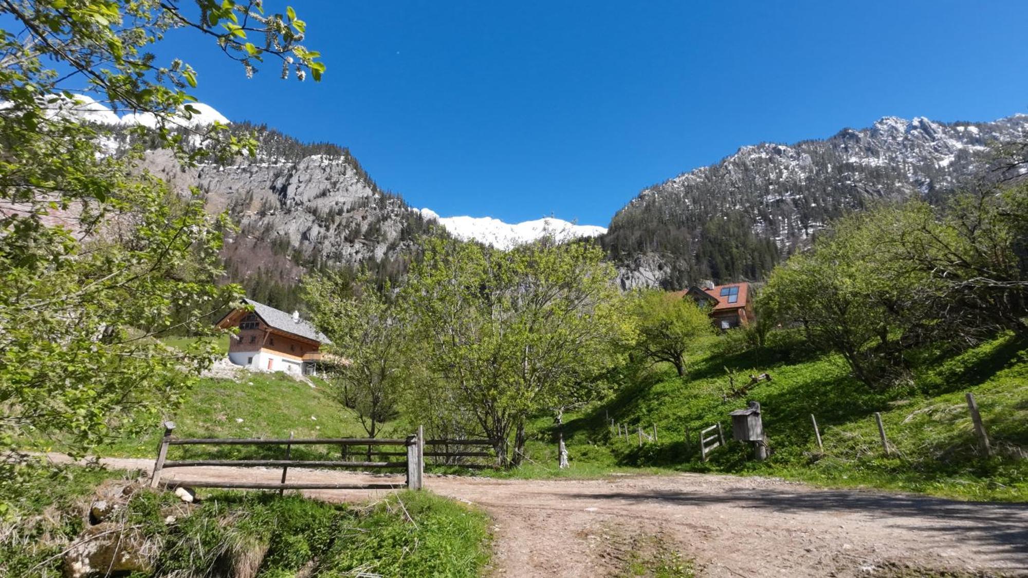 Вилла Haus 1683 - Wolfbauer Johnsbach Экстерьер фото